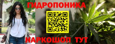 apvp Усть-Илимск
