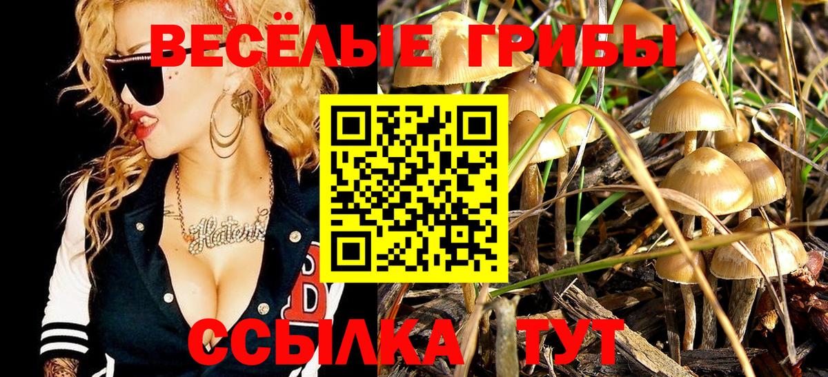 Галлюциногенные грибы GOLDEN TEACHER Выкса